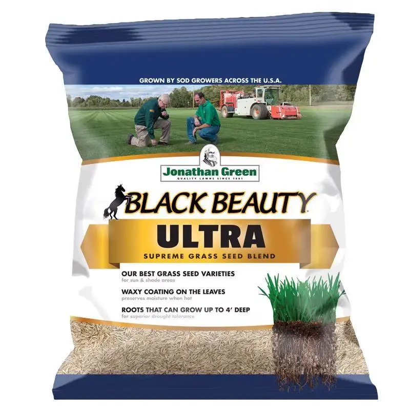 Black Beauty Ultra Grass Seed 7 Lb High-Quality Lawn Seeding