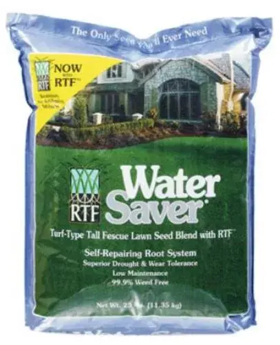 Barenbrug 11625 Water Saver Tall Fescue Grass Seed 25 Lbs Drought Resistant Lawn Seed