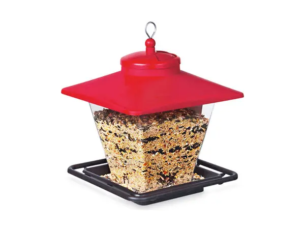 Audubon NA6228 Hopper Cafe Bird Feeder 7 Pound Seed Capacity