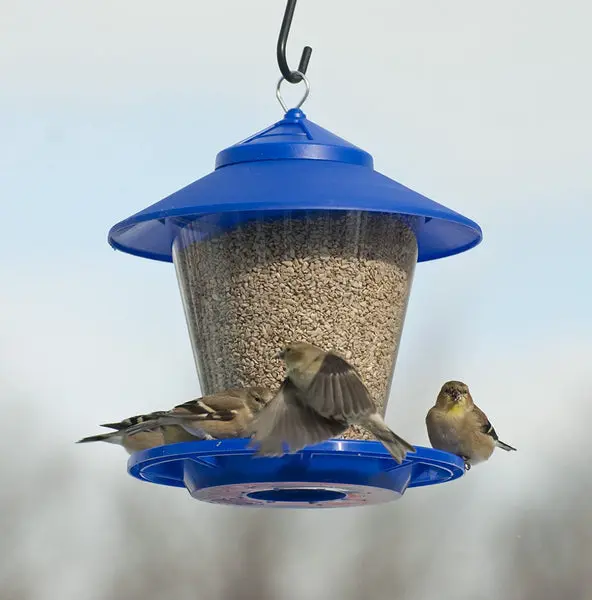 Audubon NA6231 Hopper Granary Bird Feeder 4 Pound Capacity Assorted Colors