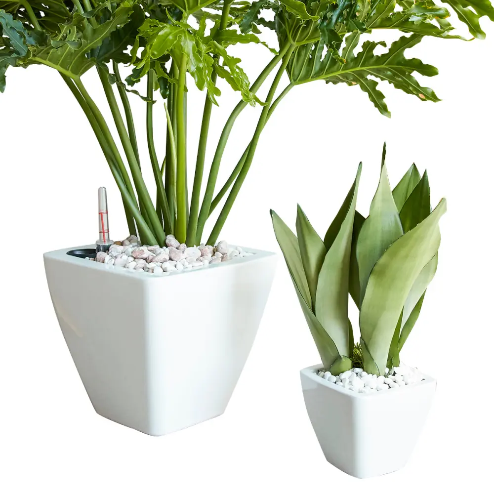 2 Pack Smart Self Watering Planter Pots Indoor and Outdoor Use dty home